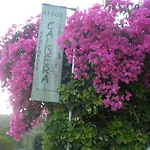 Assos Caldera