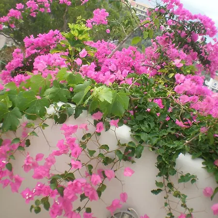 Assos Caldera * アソス