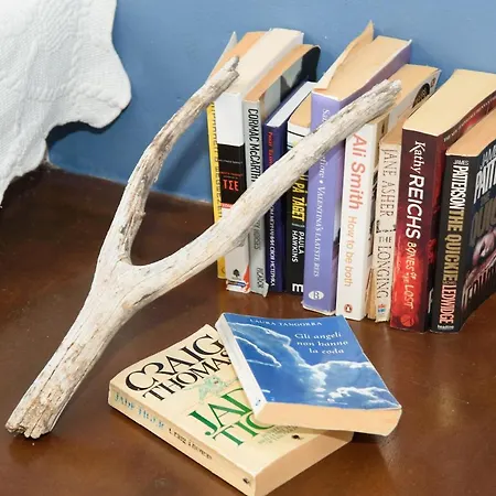 شقة Assos Caldera *